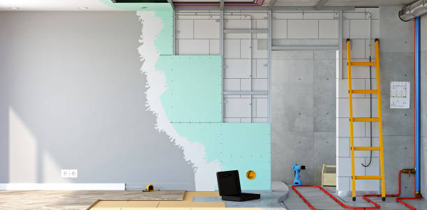 Professional Mold Removal in Solana, FL